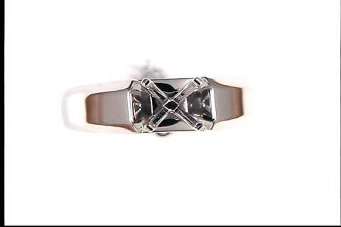 14k White Gold Mounting